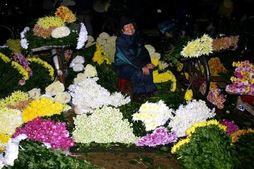 В преддверии Нового года на цветочном рынке Куанган - ảnh 1